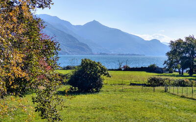 Accommodatie:&nbsp;Cottage al Lago 117.1