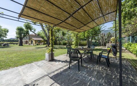 Villa Chio: Fabriek, Eigendom, Tafel, Schaduw, Boom, Buitenmeubels, Gras, Openbare Ruimte, Stoel, Buitentafel