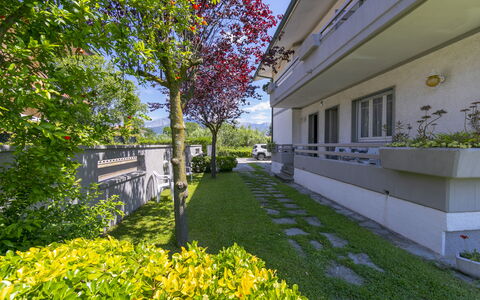 Pontremoli Apartments: Fabriek, Dag, Lucht, Gebouw, Plantkunde, Natuur, Boom, Geel, Bloem, Vegetation