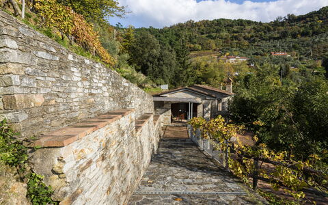 Villa Montignoso: Lucht, Fabriek, Wolk, Gebouw, Hout, Natuurlijk Landschap, Berg, Helling, Weg Oppervlak, Boom