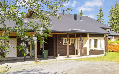 Tahkontupa: Dak, Huis, Verblijf, Huis, Woongebied, Land Lot, Siding, Schaduw, Veranda, Landgoed