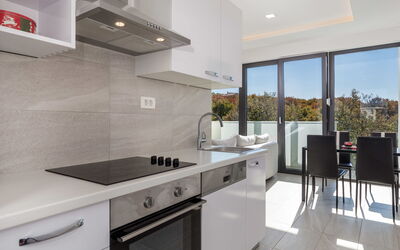 Accommodatie:&nbsp;Albi 316.2