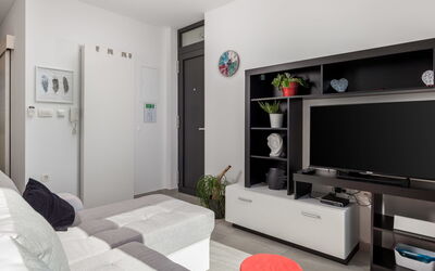 Accommodatie:&nbsp;Albi 316.2