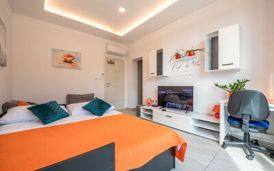 Accommodatie:&nbsp;Albi 316.1