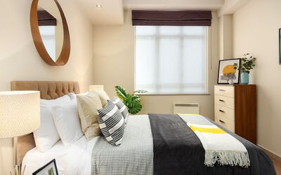 Accommodatie:&nbsp;Lawrence House 303.1