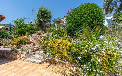El Suro: Bloem, Struik, Tuin, Bloeiende Plant, Landscaping, Botanische Tuin, Werf