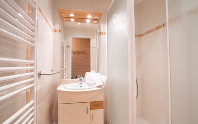 Accommodatie:&nbsp;Le Hameau du Borsat (Val Claret) 310.1
