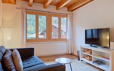 Schwendi 3: Interieur Ontwerp, Meubilair, Flooring, Hout, Verdieping, Bankstel, Kamer, Plafond, Houten Vloer, Woonkamer