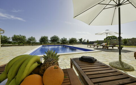 Villa Dalmacija: Lucht, Water, Eigendom, Fabriek, Gebouw, Schaduw, Wolk, Buitenmeubels, Boom, Arecales