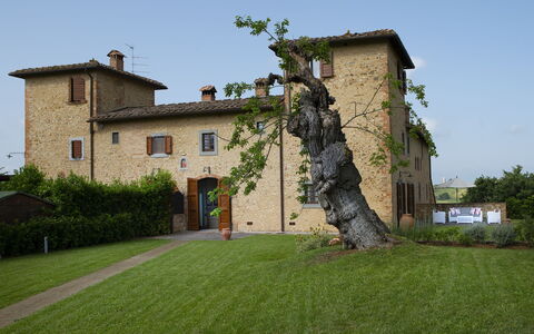 Villa Pianora: Lucht, Fabriek, Eigendom, Gebouw, Venster, Boom, Land Lot, Gras, Huis, Facade