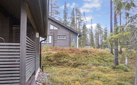 Rukan Pramea: Verblijf, Siding, Lariks, Trail, Pine Family