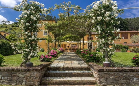 Villa Castellaccio: Bloem, Fabriek, Lucht, Wolk, Gebouw, Plantkunde, Petal, Vegetation, Boom, Landschap