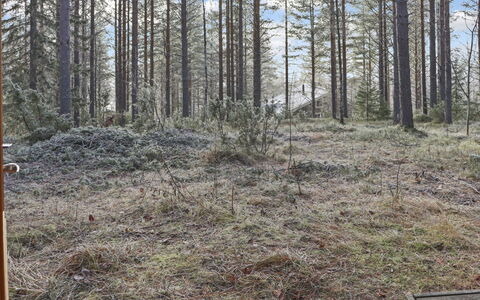 Alppitalo Mökki: Hout, Verblijf, Blokhut, Woud, Schuur, Garden Gebouwen, Lariks, Bos, Beits