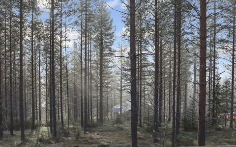Alppitalo Mökki: Hout, Verblijf, Blokhut, Woud, Schuur, Garden Gebouwen, Lariks, Bos, Beits