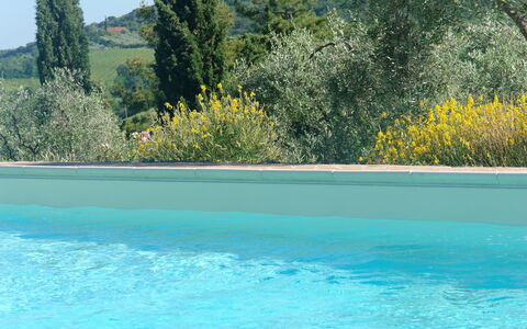 Tenuta Le Sodole: Water, Lucht, Fabriek, Eigendom, Zwembad, Plantengemeenschap, Boom, Natuur, Azure, Natuurlijk Landschap