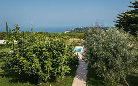 Villa Degli Aranci: Lucht, Fabriek, Plantengemeenschap, Natuurlijk Landschap, Vegetation, Land Lot, Gras, Biome, Struik, Landbouw