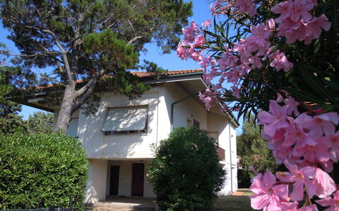 Casa Argentario: Bloem, Fabriek, Lucht, Dag, Venster, Gebouw, Natuur, Plantkunde, Boom, Afdeling