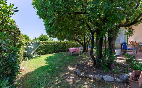 Villa Il Pesco: Fabriek, Eigendom, Natuur, Blad, Boom, Vegetation, Lucht, Biome, Gras, Woody Plant