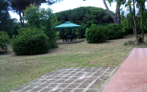 Giannella Holiday Apartment: Fabriek, Eigendom, Blad, Boom, Plantkunde, Schaduw, Weg Oppervlak, Vegetation, Land Lot, Gras