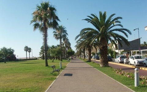 Villa Clair: Boom, Openbare Ruimte, Recreatie, Gang, Woody Plant, Stoep, Schaduw, Vrije Tijd, Vakantie