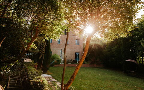 Villa Millefiori: Fabriek, Blad, Boom, Afdeling, Verlichting, Zonlicht, Natuurlijk Landschap, Straatlantaarn, Vegetation, Gras