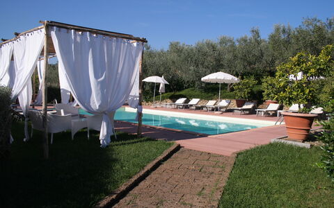 Il Fienile Holiday Home: Fabriek, Lucht, Water, Paraplu, Schaduw, Zwembad, Buitenmeubels, Bloempot, Gras