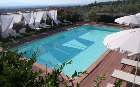 Il Fienile Holiday Home: Water, Fabriek, Lucht, Zwembad, Gebouw, Azure, Schaduw, Buitenmeubels, Zwemwater, Boom
