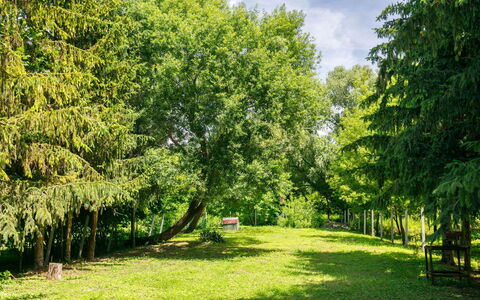 May: Fabriek, Lucht, Wolk, Groen, Natuurlijk Landschap, Schaduw, Afdeling, Boom, Land Lot, Vegetation
