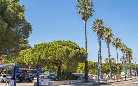 Hyères 203: Boom, Straatlantaarn, Family Car, Parking, Schaduw, Parkeerplaats
