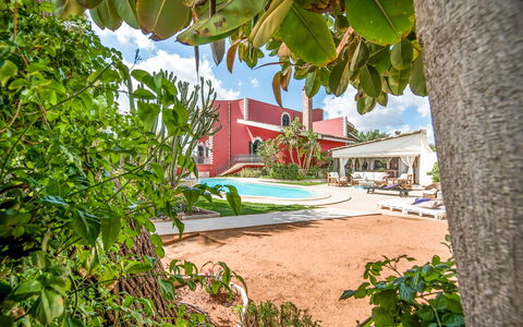 Villa Rossana: Fabriek, Lucht, Gebouw, Schaduw, Vegetation, Arecales, Zwemwater, Venster, Huis, Buurt