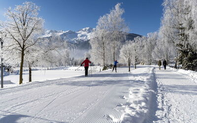Accommodatie:&nbsp;Superior # 5D mit Sauna 700.14