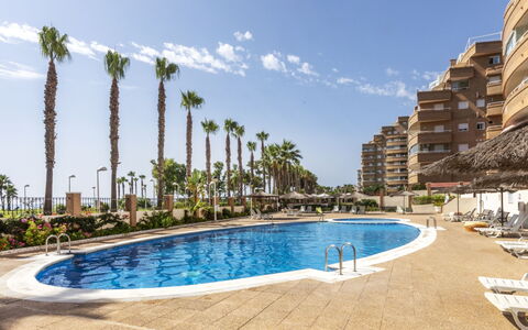 Oropesa del Mar 216: Wit, Aantal, Screenshot