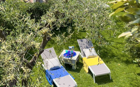 Villa La Rodina - Diano Marina: Fabriek, Plantengemeenschap, Natuurlijk Landschap, Vegetation, Land Lot, Gras, Biome, Boom, Struik, Groundcover