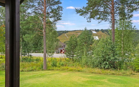 Tahkon Klubitie 4 a: Gras, Struik, Land Lot, Tuin, Groundcover, De Lente, Landscaping, Gazon, Weide, Schaduw
