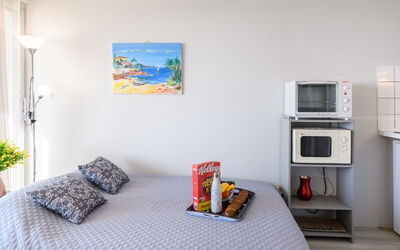 Accommodatie:&nbsp;Belvédère 15 204.2