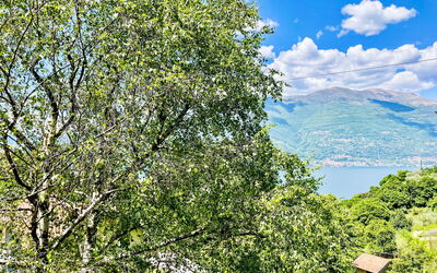 Varenna 647