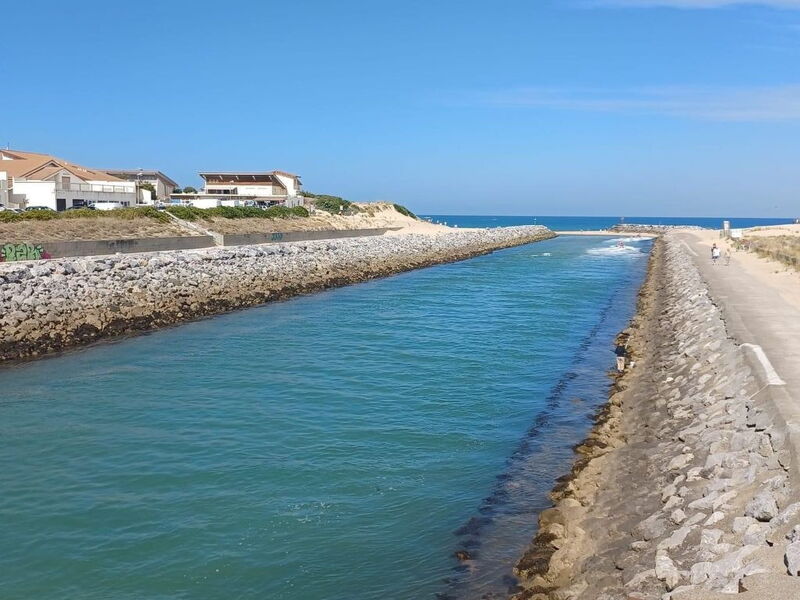 Les Bouvreuils