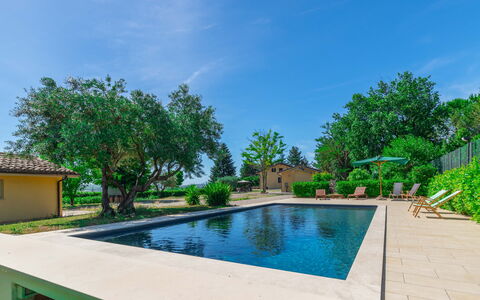 Sunrise Hill Holiday Home: Water, Lucht, Fabriek, Zwembad, Gebouw, Boom, Wolk, Zwemwater, Arecales, Gras