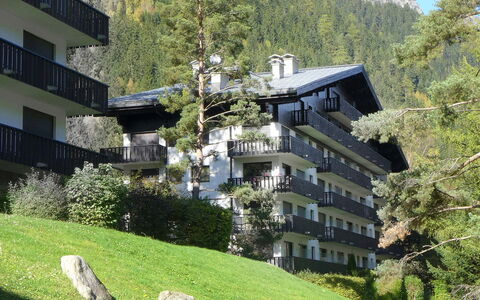 Chamonix 100: Gebouw, Eigendom, Fabriek, Venster, Boom, Berg, Groen, Natuur, Vegetation, Stedelijk Ontwerp