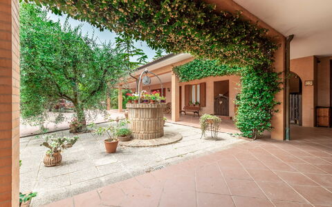 Villa Rosso Corbezzolo: Fabriek, Gebouw, Bloempot, Kamerplant, Venster, Deur, Hout, Architectuur, Gras, Schaduw