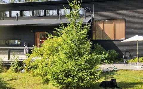 Hevonkuusi