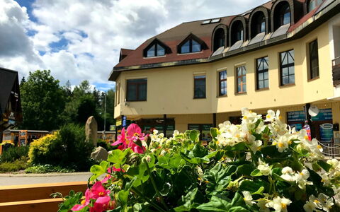 Accommodatie:&nbsp;Harrachov Central Nook 61.1