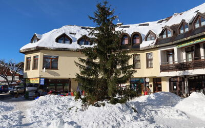 Accommodatie:&nbsp;Harrachov Central Nest 61.2