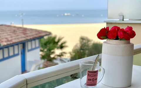 Accommodatie:&nbsp;Joséphine 332.2