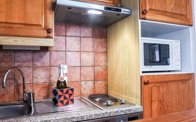 Accommodatie:&nbsp;L'Espace Montagne 480.5