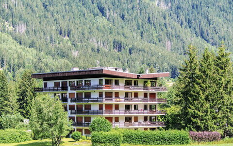 Chamonix 490: Fabriek, Gebouw, Berg, Eigendom, Venster, Natuurlijk Landschap, Boom, Hoogland, Land Lot, Lariks