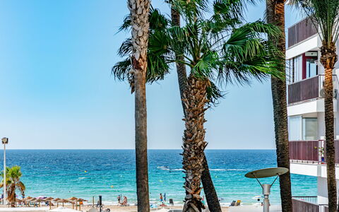 Bahia del Sol: Zwemwater, Strand, Kust, Zee, Kust En Oceanic Landvormen, Oceaan, Kust, Toevlucht, Tropen