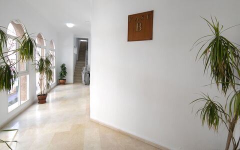 Perlamar 4: Fabriek, Eigendom, Gebouw, Kamerplant, Hout, Interieur Ontwerp, Verdieping, Flooring, Bloempot, Kunst