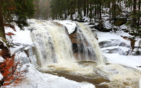 Harrachov 552: Water, Watervoorraden, Natuurlijk Landschap, Waterval, Waterloop, Boom, Biome, Sneeuw, Freezing