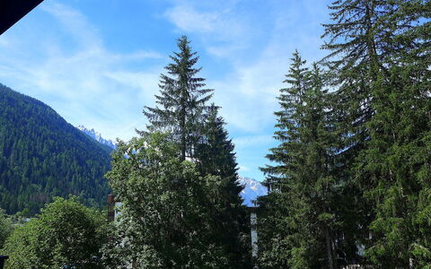 Argentière 200: Boom, Balsemspar, Shortleaf Black Spruce, Larix Lyalliisubalpine Larch, Tropische En Subtropische Naaldbossen, Lodgepolepijnboom, Sugar Pine, Biome, Spar Forest, Oregon Pine